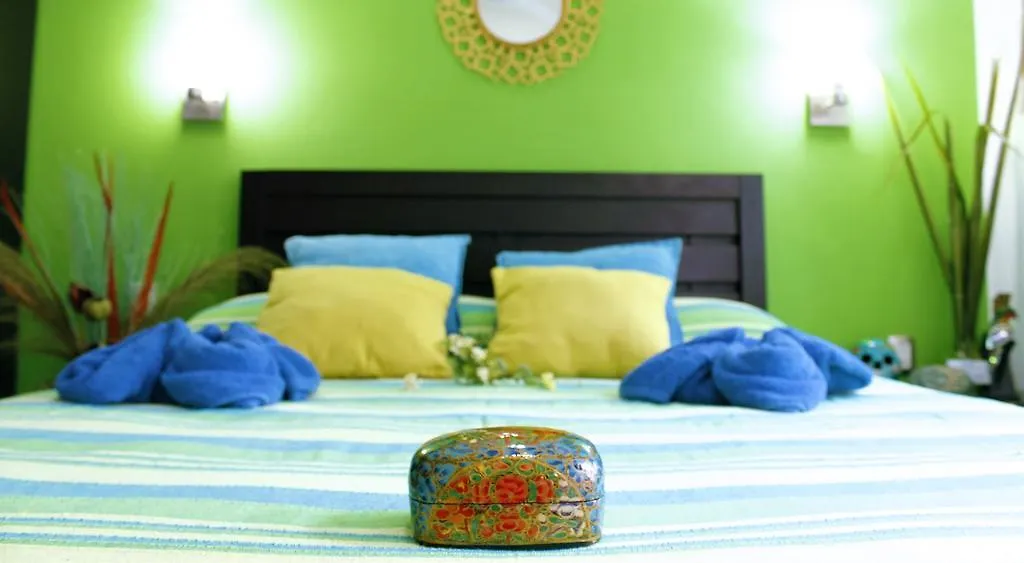 Maya Vacanze Playa Quinta B&B Playa del Carmen 2*,
