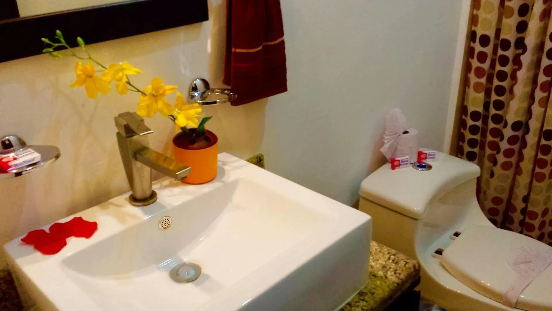 Maya Vacanze Playa Quinta B&B Playa del Carmen Oda ve Kahvaltı